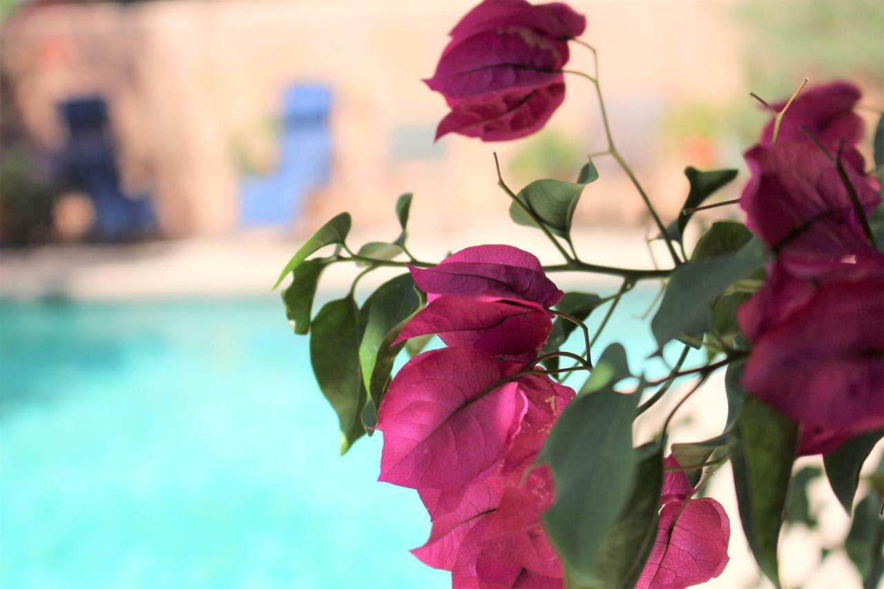 Adobe Rose Inn 투산 외부 사진